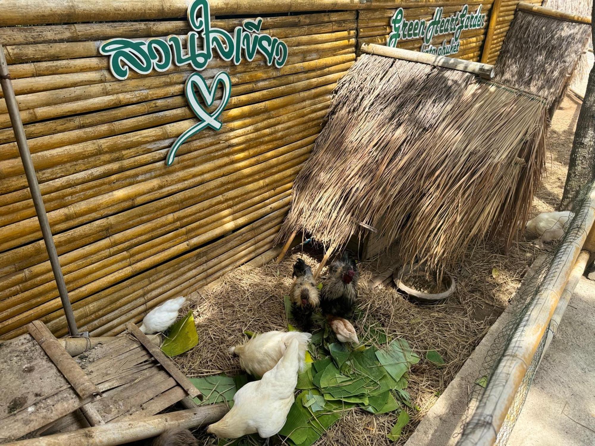 Greenheart Garden View Camp Phuket Kata Beach  Zewnętrze zdjęcie